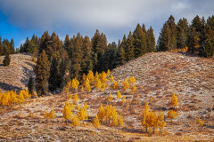 Autumn colours in Grand Teton National Park, USA