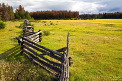 Old log fence in a field, British Columbia, Canada