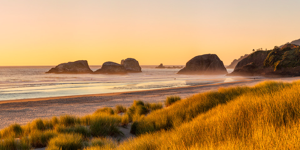 Panorama of sand dunes and grasses on a beach, Cannon Beach, Ore