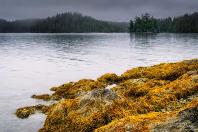 Broken Group Islands, British Columbia, Canada