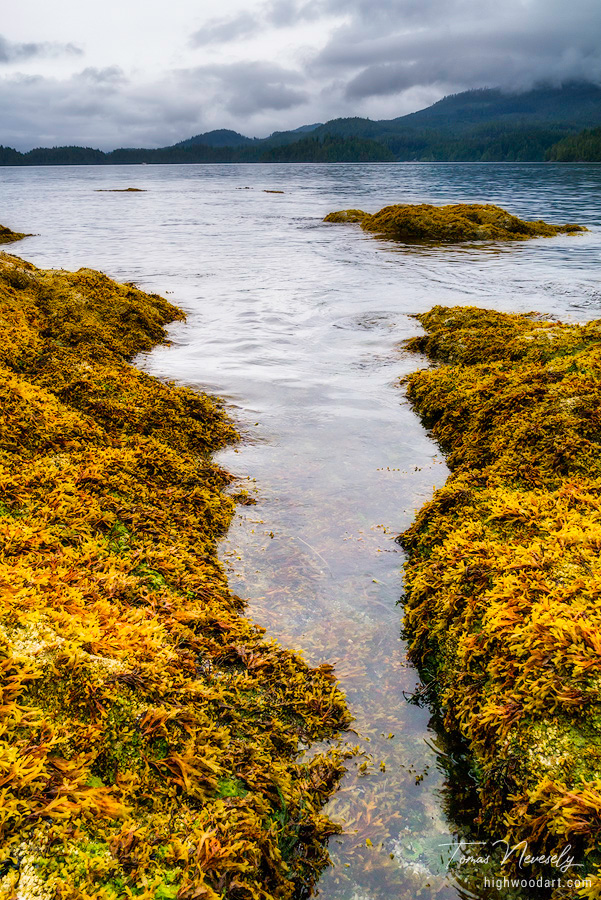 Broken Group Islands, British Columbia, Canada
