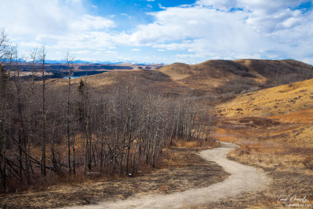 A trail at the Glenbow Ranche, Alberta, Canada