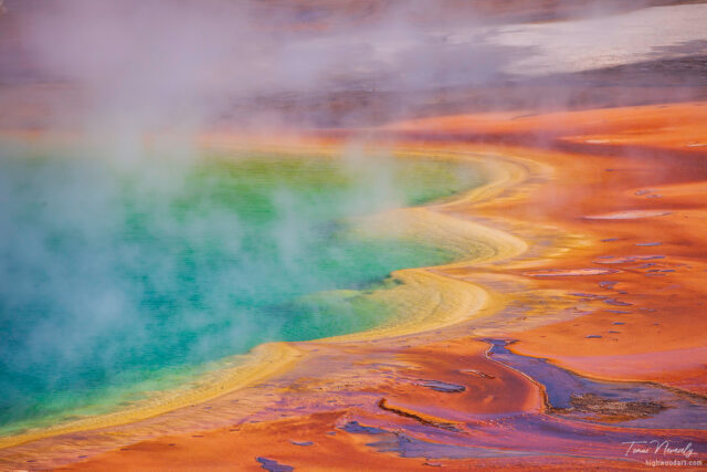 Yellowstone National Park, Wyoming, USA