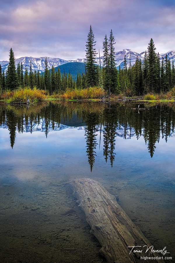 Forget-Me-Not Pond in Kananaskis, Alberta, Canada
