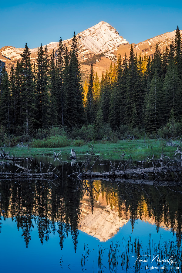 Early summer near Bragg Creek in Kananaskis, Alberta, Canada