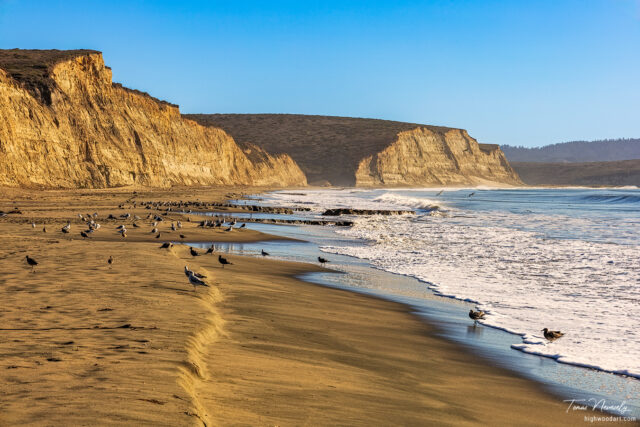 Drakes Beach, California, USA