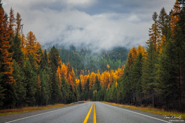 A lone road in the forests of Montana, USA