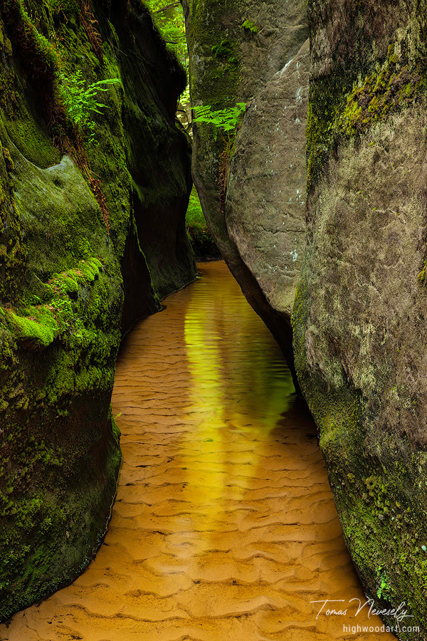 Stream of Colour, Czech Republic