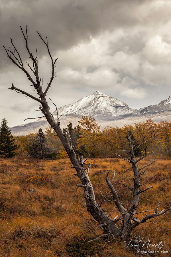 Autumn landscape in Glacier National Park, Montana, USA