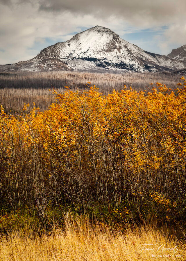 Autumn layers in Glacier National Park, Montana