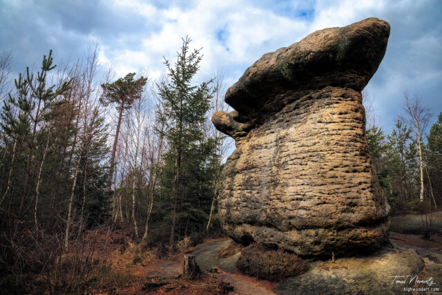 Sandstone near Broumov, Czech Republic