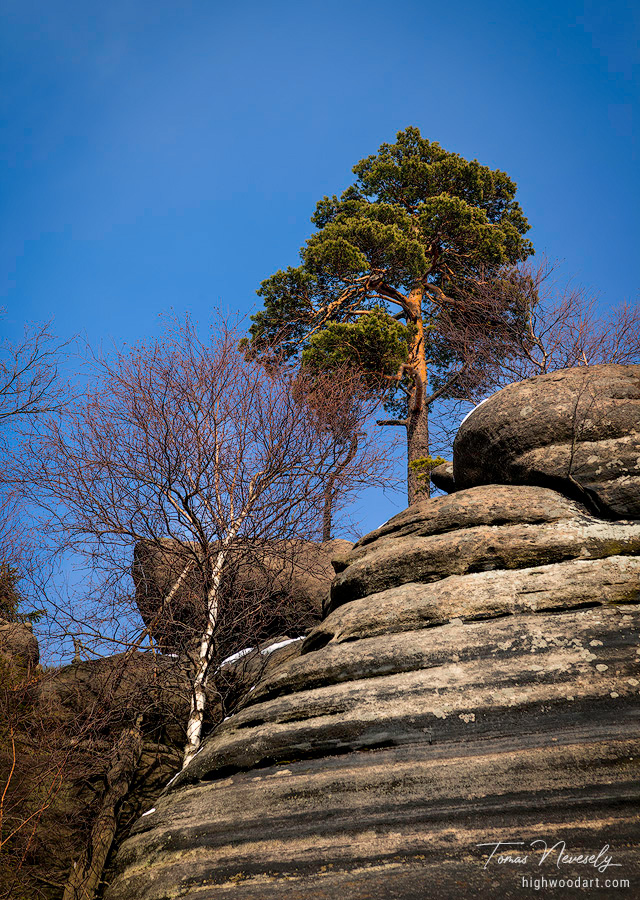 Sandstone near Broumov, Czech Republic