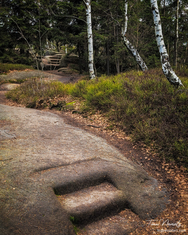 Sandstone near Broumov, Czech Republic