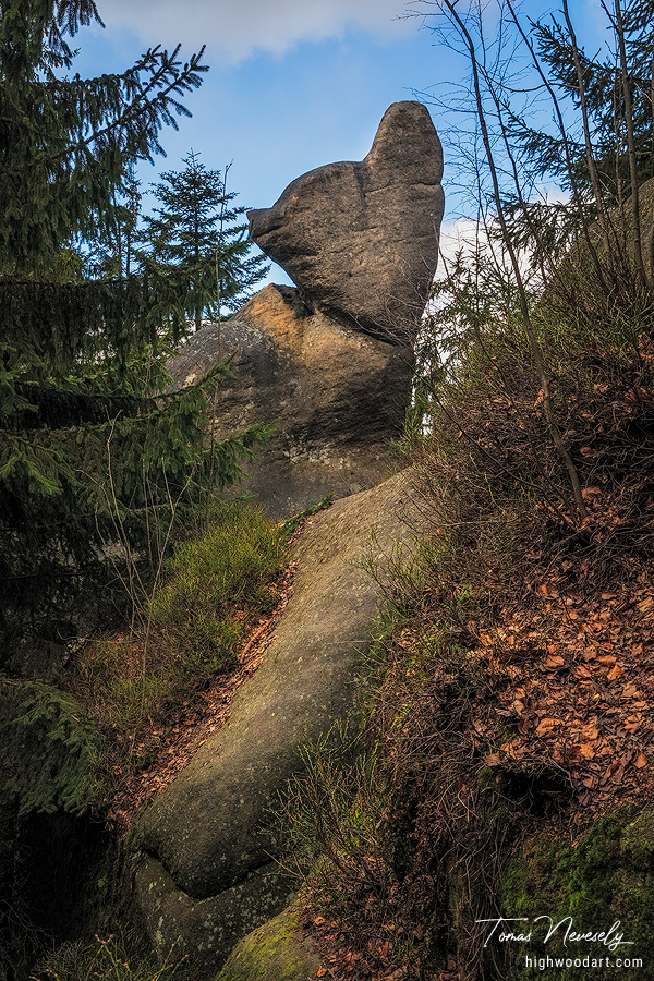 Sandstone near Broumov, Czech Republic