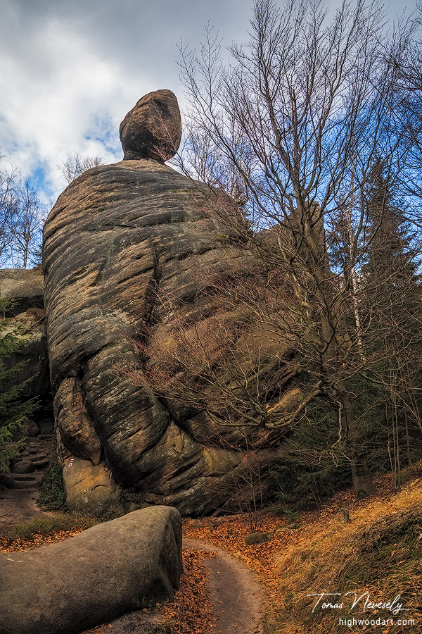 Sandstone near Broumov, Czech Republic