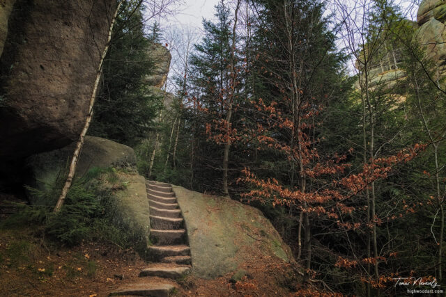 Sandstone near Broumov, Czech Republic