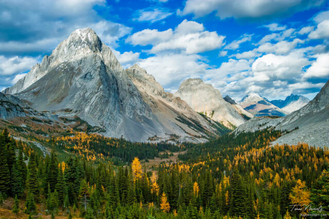 Burstall Pass in Kananaskis Country on a fall day