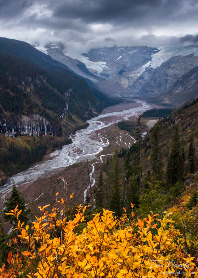 Columbia Icefield in the Canadian Rocky Mountains