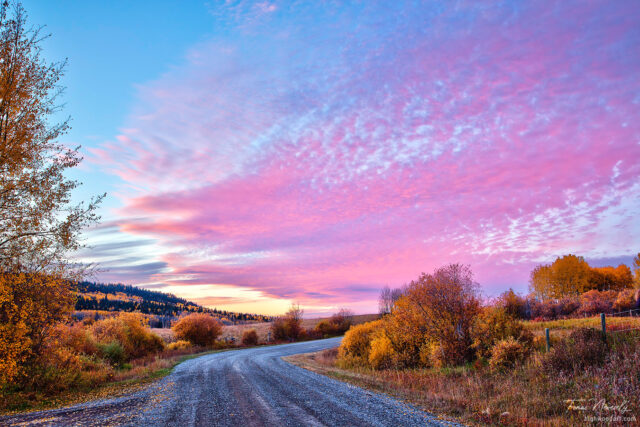 Country road in fall at sunset, Alberta, Canada