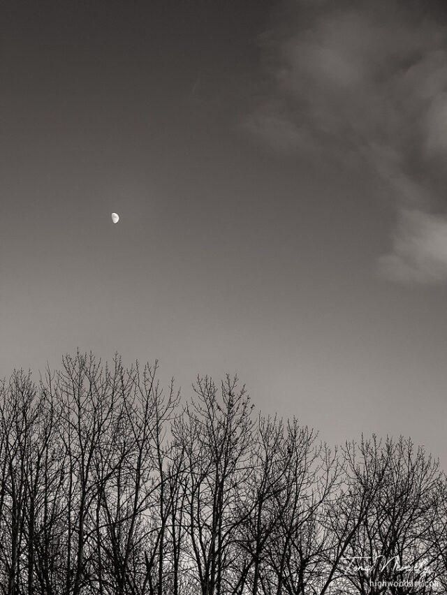Fish Creek, Calgary, Alberta, Canada