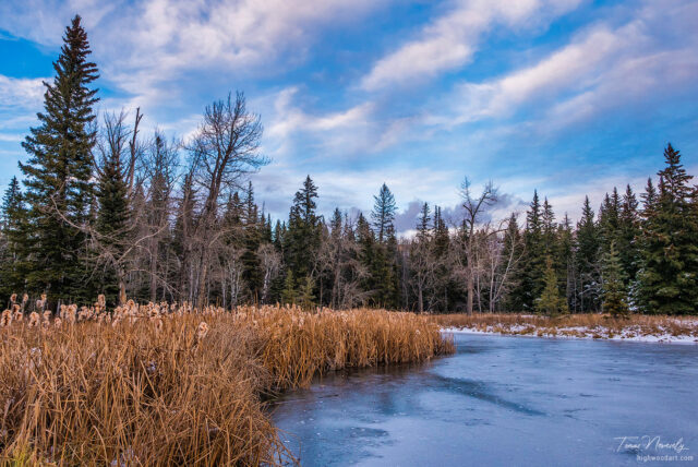 Fish Creek, Calgary, Canada