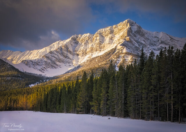 Highwood Pass, Kananaskis, Alberta, Canada