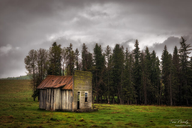 Old House on the prarie, Alberta, Canada