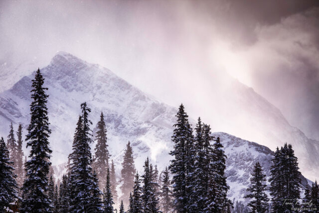 Mountain Landscape, Kananaskis, Alberta, Canada