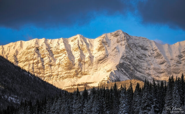 Majestic snow-capped mountain at sunrise, Highwood Pass, Alberta, Canada