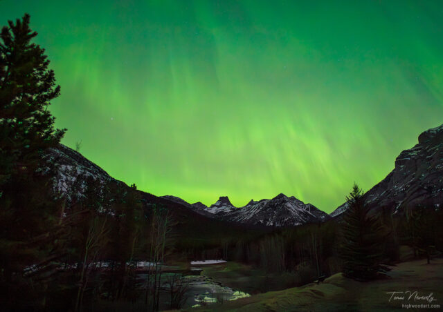 Mesmerizing aurora borealis over snowy mountains, Kananaskis, Alberta, Canada
