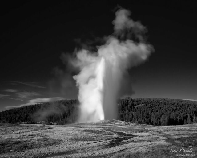Yellowstone National Park, Wyoming, USA