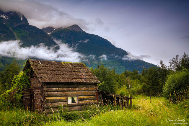 Old cabin in the woods near Bella Coola, British Columbia, Canada