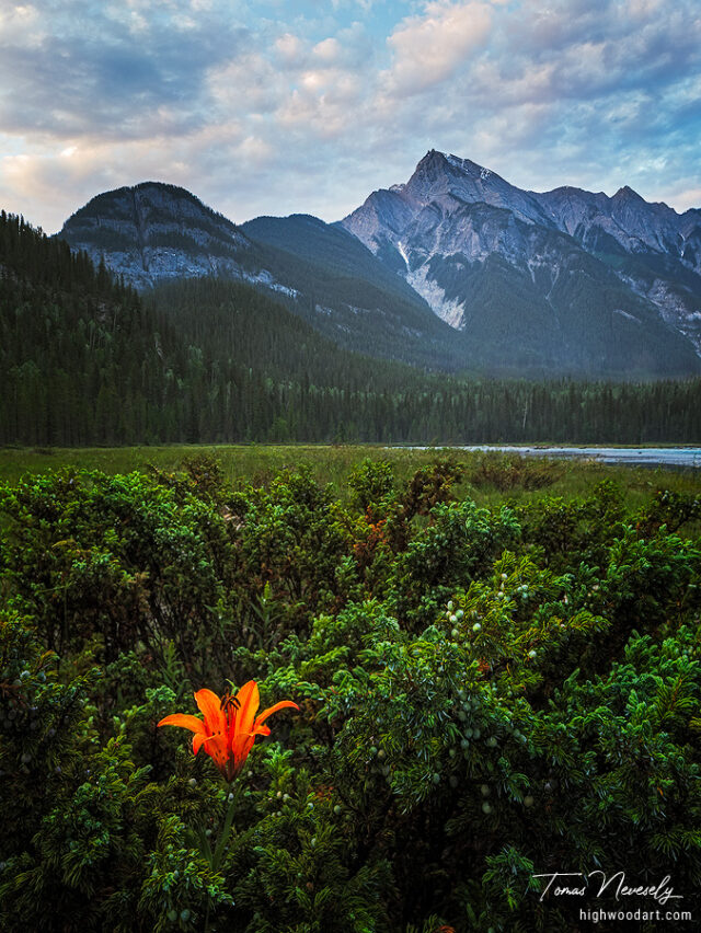 Mountain Landscape, British Columbia, Canada