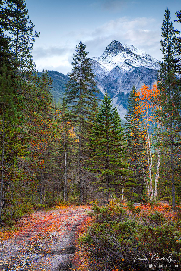 Mountain Landscape, British Columbia, Canada