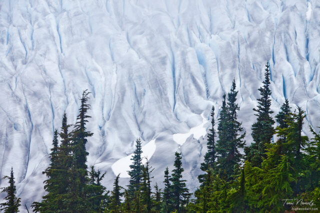 Salmon Glacier, British Columbia, Canada