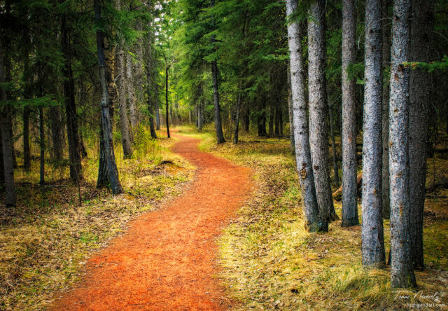 Fish Creek, Calgary, Alberta, Canada