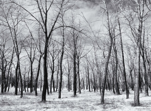Fish Creek, Calgary, Alberta, Canada