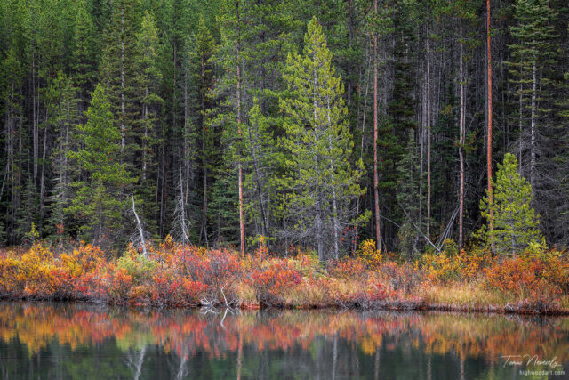 Kanakaskis, Alberta, Canada
