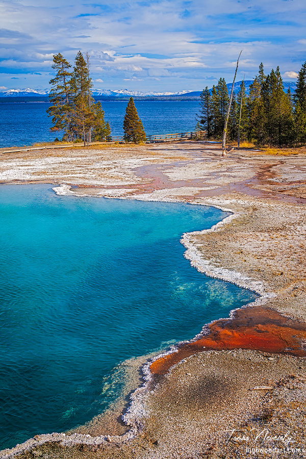 The Thumb Geyser area in Yellowstone National Park, USA
